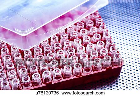 Phials in box. View Large Photo Image Stock Photograph - Phials in box.. Fotosearch