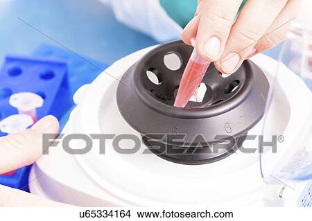 Picture - Placing sample in centrifuge. Fotosearch