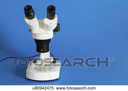 Stock Photography - Plant research, conceptual image.. Fotosearch