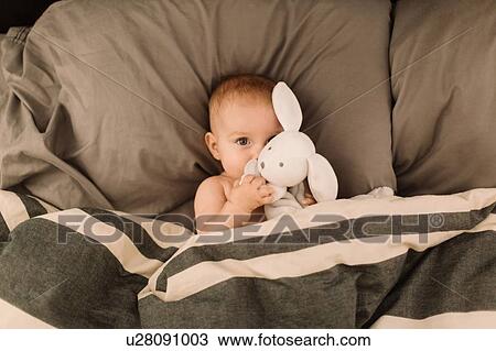 Portrait of baby girl lying in bed hugging toy rabbit, overhead view View Large Photo Image Stock Image - Portrait of baby girl lying in bed hugging toy rabbit, overhead view. Fotosearch