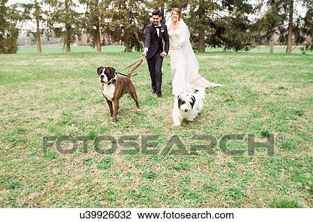 Portrait of bride and bridegroom with their dogs View Large Photo Image Stock Image - Portrait of bride and bridegroom with their dogs. Fotosearch