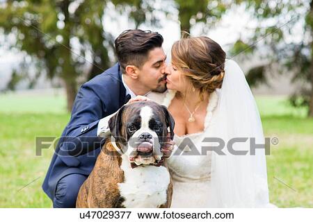 Stock Photo - Portrait of bride and bridegroom with their dog. Fotosearch