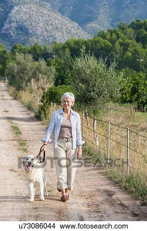 Picture - Portrait of senior woman walking pet dog. Fotosearch