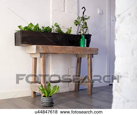Stock Photo - Potted plants arrangement in hallway of home. Fotosearch