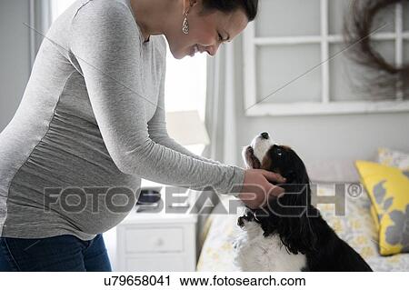 Stock Image - Pregnant woman looking at dog. Fotosearch
