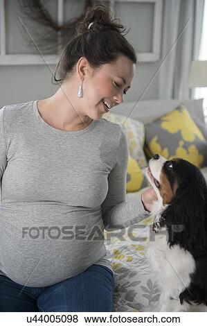 Stock Photo - Pregnant woman looking at dog. Fotosearch