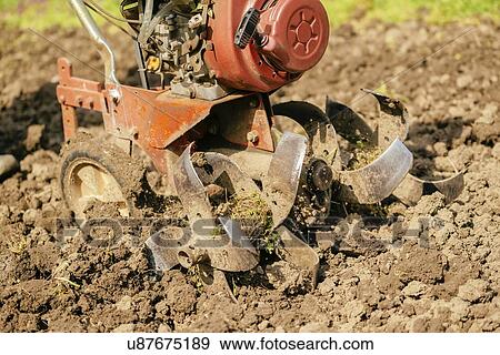 Stock Photo - Preparing garden soil with cultivator.. Fotosearch