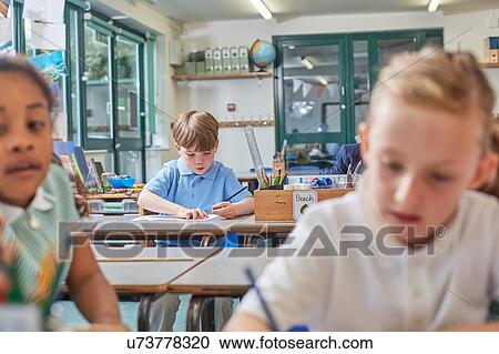 Primary schoolboy and girls doing schoolwork at classroom desks View Large Photo Image Stock Image - Primary schoolboy and girls doing schoolwork at classroom desks. Fotosearch