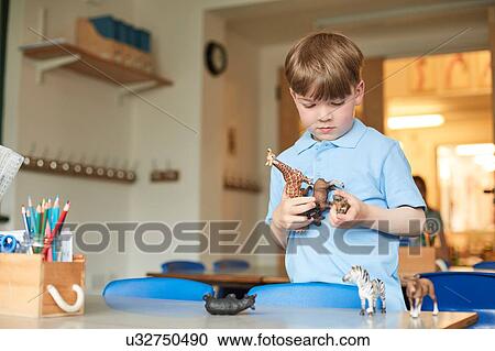 Stock Image - Primary schoolboy looking at plastic toy animals in classroom. Fotosearch