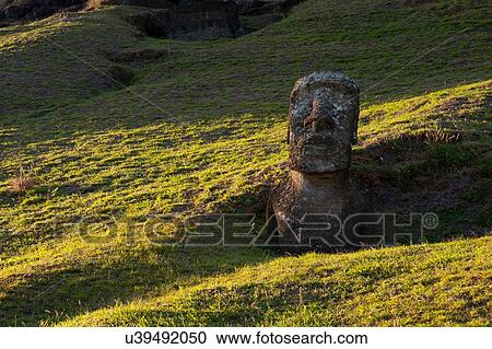 Rano Raraku moai statue on Easter Island View Large Photo Image Stock Image - Rano Raraku moai statue on Easter Island. Fotosearch