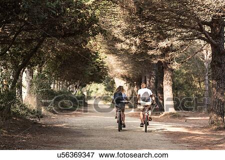 Rear view of tourist couple cycling along tree lined road, Porquerolles, Provence-Alpes-Cote d'Azur View Large Photo Image Stock Photo - Rear view of tourist couple cycling along tree lined road, Porquerolles, Provence-Alpes-Cote d'Azur. Fotosearch