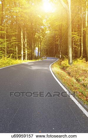 Road through forest at sunrise. View Large Photo Image Stock Photo - Road through forest at sunrise.. Fotosearch