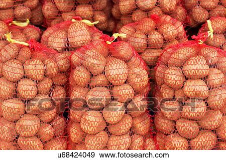 Sacks of potatoes. View Large Photo Image Stock Photo - Sacks of potatoes.. Fotosearch
