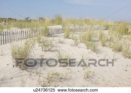 Sand dunes in summer View Large Photo Image Stock Photography - Sand dunes in summer. Fotosearch