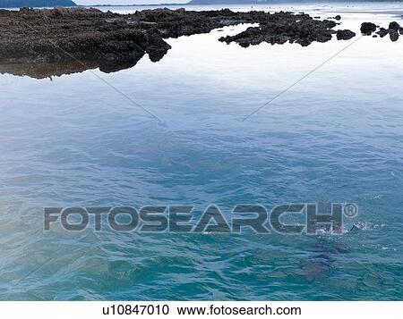 Scenic coastal view, Broulee, New South Wales, Australia View Large Photo Image Stock Image - Scenic coastal view, Broulee, New South Wales, Australia. Fotosearch