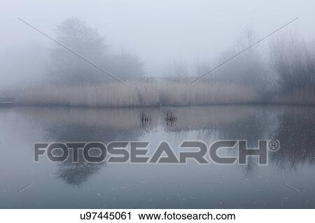 Scenic view of lake with mist, Houghton-le-Spring, Sunderland, UK View Large Photo Image Stock Image - Scenic view of lake with mist, Houghton-le-Spring, Sunderland, UK. Fotosearch