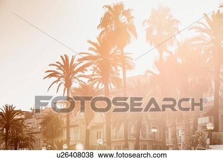 Scenic view with palm trees, Sitges, Catalonia, Spain View Large Photo Image Stock Photo - Scenic view with palm trees, Sitges, Catalonia, Spain. Fotosearch