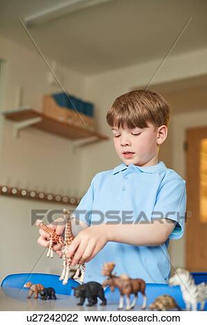 Schoolboy playing with toy animals in classroom at primary school View Large Photo Image Stock Image - Schoolboy playing with toy animals in classroom at primary school. Fotosearch