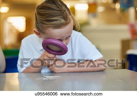 Schoolgirl looking through magnifying glass in classroom lesson at primary school View Large Photo Image Stock Photograph - Schoolgirl looking through magnifying glass in classroom lesson at primary school. Fotosearch