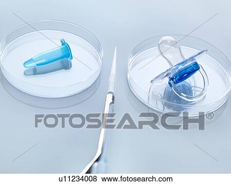 Stock Photo - Scientific Cloning, genetic experiment with pipette modifying DNA sample and creating new life in petri dish. Fotosearch