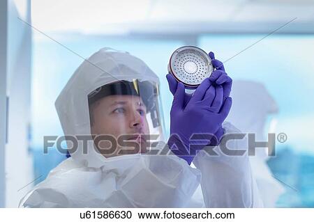 Scientist in protective wear inspecting filter in laboratory View Large Photo Image Stock Image - Scientist in protective wear inspecting filter in laboratory. Fotosearch