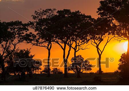 Serengeti National Park, Tanzania View Large Photo Image Stock Image - Serengeti National Park, Tanzania. Fotosearch