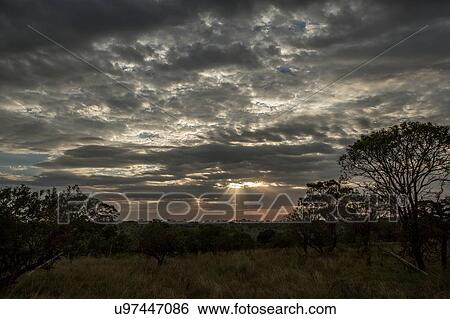Serengeti National Park, Tanzania View Large Photo Image Stock Photograph - Serengeti National Park, Tanzania. Fotosearch