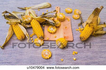 Picture - Sliced corn on the cob on chopping board, with whole corn on cob. Fotosearch