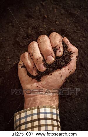 Stock Photo - Soil in male gardener's hand.. Fotosearch