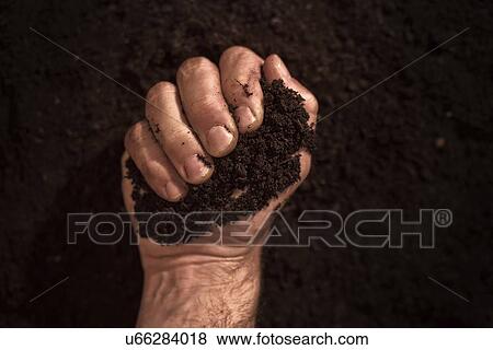 Soil in male gardener's hand. View Large Photo Image Stock Photo - Soil in male gardener's hand.. Fotosearch