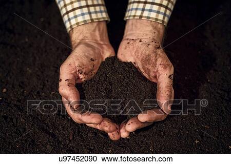 Stock Image - Soil in male gardener's hands.. Fotosearch