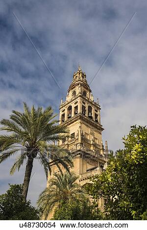 Spain, Andalusia, Cordoba, Minaret of Great Mosque of Crdoba behind trees View Large Photo Image Picture - Spain, Andalusia, Cordoba, Minaret of Great Mosque of Crdoba behind trees. Fotosearch