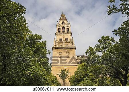 Stock Image - Spain, Andalusia, Cordoba, Minaret of Great Mosque of Crdoba behind trees. Fotosearch