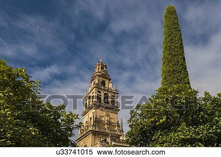 Spain, Andalusia, Cordoba, Minaret of Great Mosque of Crdoba behind trees View Large Photo Image Stock Photography - Spain, Andalusia, Cordoba, Minaret of Great Mosque of Crdoba behind trees. Fotosearch