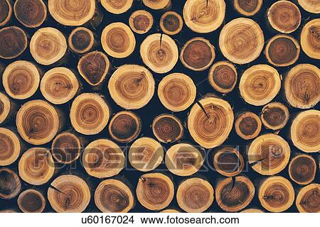 Stacked logs. View Large Photo Image Picture - Stacked logs.. Fotosearch