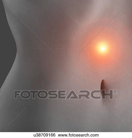 Stomach pain, conceptual illustration. View Large Photo Image Stock Photograph - Stomach pain, conceptual illustration.. Fotosearch
