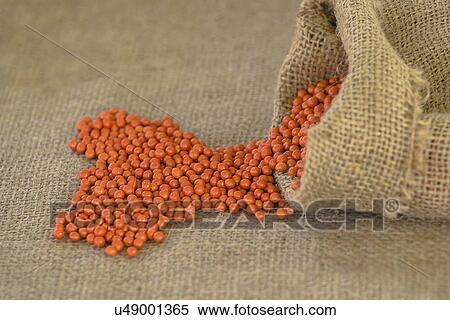 Stock Photography - Sugar beet seed in sack.. Fotosearch