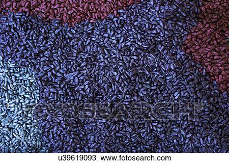 Stock Image - Sunflower seeds. The different colours are due to different chemical treatments.. Fotosearch
