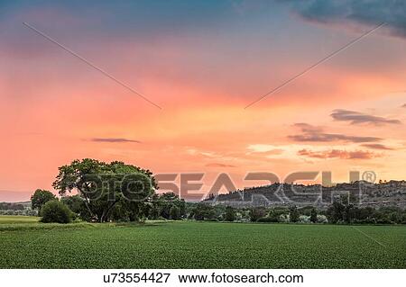 Sunset over rural landscape, Montana, US View Large Photo Image Stock Photo - Sunset over rural landscape, Montana, US. Fotosearch