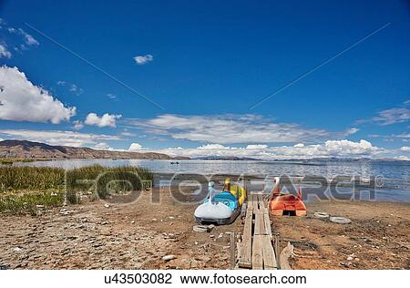 Swan pedal boats on beach, Huarina, La Paz, Bolivia, South America View Large Photo Image Stock Image - Swan pedal boats on beach, Huarina, La Paz, Bolivia, South America. Fotosearch