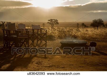 Stock Image - Tarangire National Park, Tanzania. Fotosearch