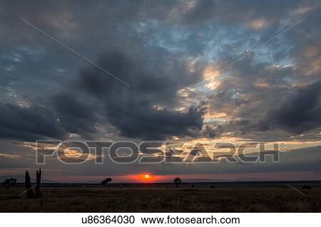 Stock Image - Tarangire National Park, Tanzania. Fotosearch