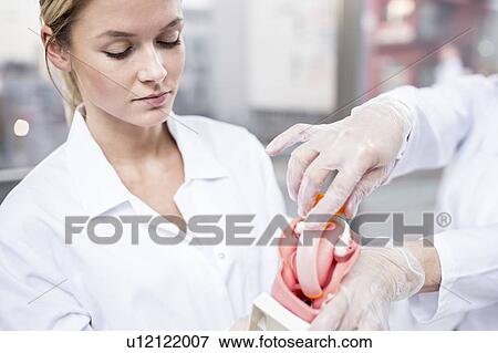 Stock Photo - Teacher demonstrating tracheal intubation using a demonstration model.. Fotosearch