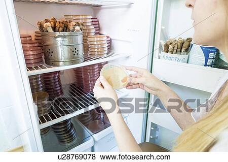 Technician storing Petri dishes in an incubator. View Large Photo Image Stock Photo - Technician storing Petri dishes in an incubator.. Fotosearch