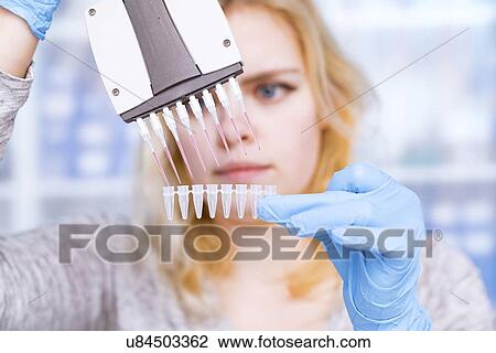 Technician using multipipette. View Large Photo Image Stock Image - Technician using multipipette.. Fotosearch