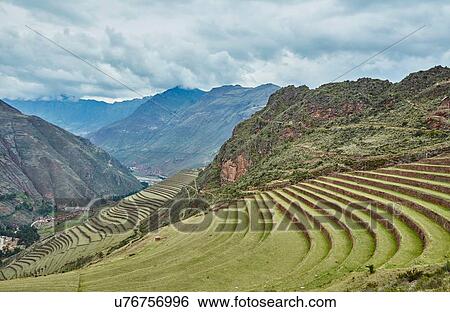 Terraced fields and distant mountains, Pisac, Cusco, Peru View Large Photo Image Stock Photograph - Terraced fields and distant mountains, Pisac, Cusco, Peru. Fotosearch