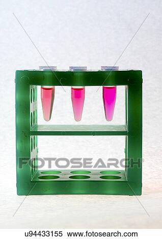 Stock Photography - Three Eppendorf tubes in a tube rack.. Fotosearch
