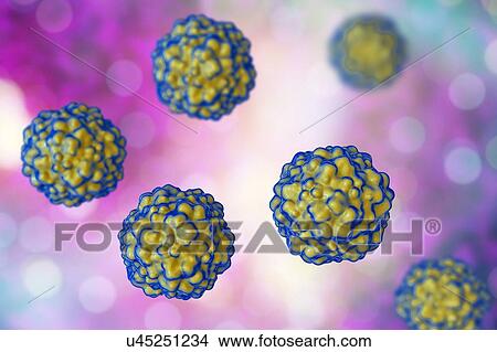 Picture - Transfusion transmitted virus (TTV) particles, computer illustration. This is a non-enveloped DNA (deoxyribonucleic acid) virus first identified in Japan in 1997. It has since been found to be near ubiquitous, causing chronic human infections, but is.... Fotosearch