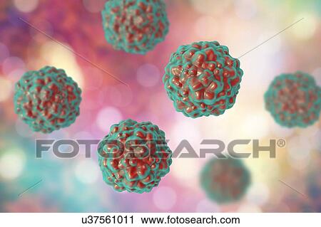 Stock Image - Transfusion transmitted virus (TTV) particles, computer illustration. This is a non-enveloped DNA (deoxyribonucleic acid) virus first identified in Japan in 1997. It has since been found to be near ubiquitous, causing chronic human infections, but is.... Fotosearch