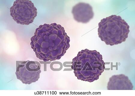 Stock Image - Transfusion transmitted virus (TTV) particles, computer illustration. This is a non-enveloped DNA (deoxyribonucleic acid) virus first identified in Japan in 1997. It has since been found to be near ubiquitous, causing chronic human infections, but is.... Fotosearch